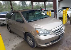 5FNRL38696B421587: 39971465