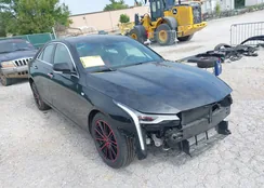 1G6DK5RK2M0117679: 39974048