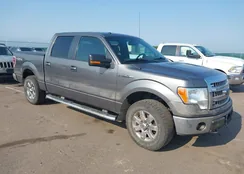 1FTFW1EF3DFC32042: 39994790