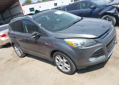 1FMCU9J93EUC57846: 40024538