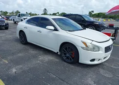 1N4AA5AP6BC838695: 40031047