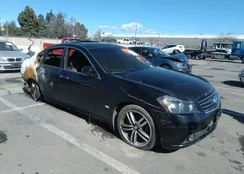 JNKAY01E46M101825: 40050737