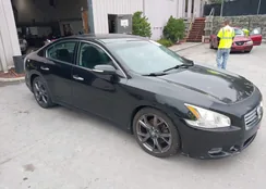 1N4AA5AP8EC442479: 40053875