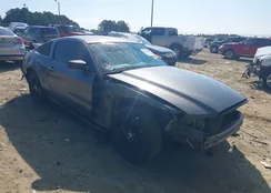 1ZVBP8AM8E5325295: 40056301