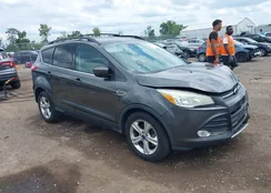 1FMCU0G99FUA31900: 40057024