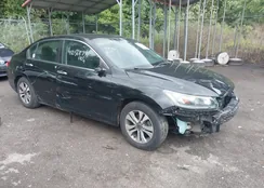 1HGCR2F37FA014059: 40056874