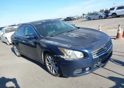 1N4AA51E99C819938: 40060229