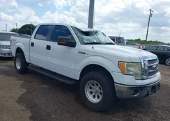 1FTFW1EF7DFD04490: 40060413