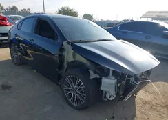 3KPF54AD5PE606271: 40059613