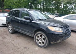 5NMSH73E98H204793: 40059623