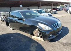 JN1DV6AP8BM600247: 40081495