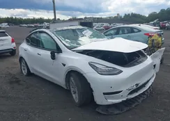 7SAYGDEE3NF311251: 40083053