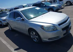 1G1ZD5E09CF146800: 40095596