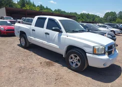 1D7HE48NX5S261911: 40105462