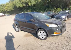 1FMCU0F74EUB78494: 40109492