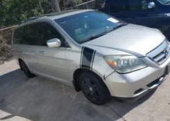 5FNRL38695B411320: 40116757