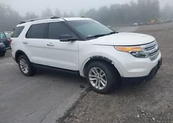 1FMHK8D81BGA67353: 40117917