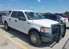 1FTFW1ET7EKG11074: 40125853