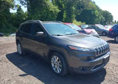 1C4PJLDB1GW229559: 40132853