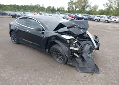 5YJ3E1EA8JF151984: 40133563