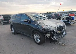 5XYPG4A38LG684529: 40151709