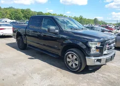 1FTEW1EP0HFC12079: 40164786