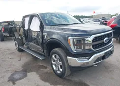 1FTFW1ED1NFA67995: 40169859