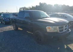 1D7HE48K28S581346: 40177870