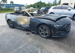 1FAGP8UH7R5120537: 40209802