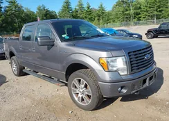 1FTFW1EF0EFC81068: 40210943