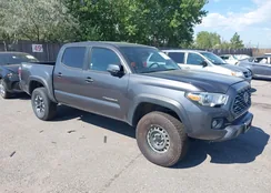 3TYCZ5AN2PT173573: 40231882