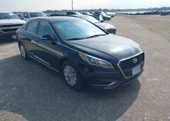 KMHE24L1XGA039383: 40235133