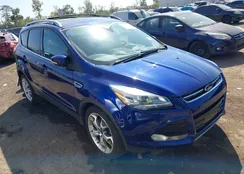 1FMCU9J90EUD57029: 40352522