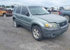 1FMYU03115KA41630: 40446743