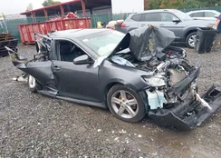 4T1BF1FK5CU192871: 40446545