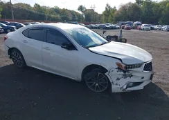 19UUB3F53JA003097: 40451340