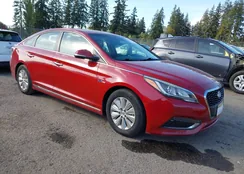 KMHE24L10GA012239: 40494017