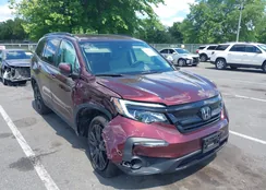 5FNYF6H21NB097597: 39542405