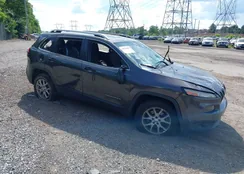 1C4PJMCS9FW551307: 39564005