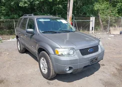 1FMYU59H97KB06373: 39648895