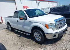 1FTEX1CM7EFC17443: 39662020