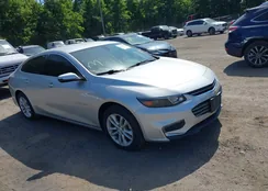 1G1ZE5ST1HF173153: 39689841