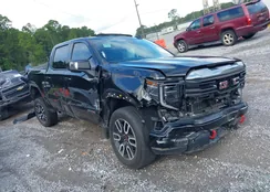 3GTUUEE81PG241606: 39696348