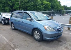 5FNRL38487B093515: 39708570