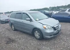 5FNRL38625B041067: 39771876