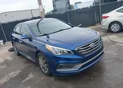 5NPE34AF7HH500243: 39773904