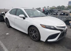 4T1S31AK4RU067109: 39820931