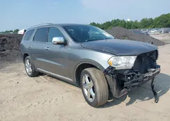 1C4RDJEG1DC604801: 39885986