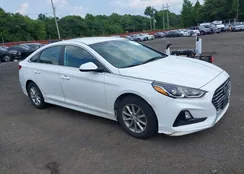 5NPE24AF2KH737183: 39886418