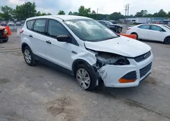 1FMCU0F72DUD65263: 39890599